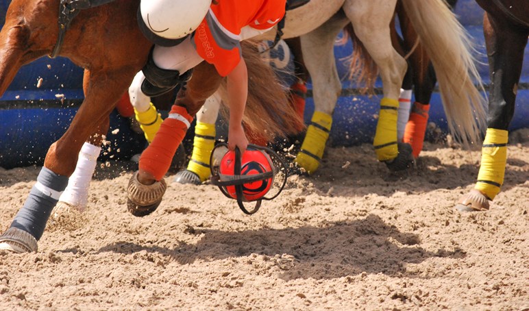 Horse Riding - Horseball