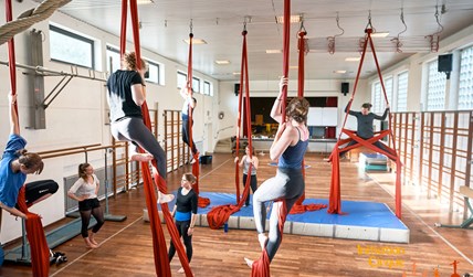 Aerial silk workshop