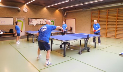 De ping-pongvrienden