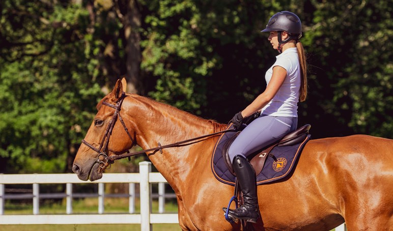 Horse Riding